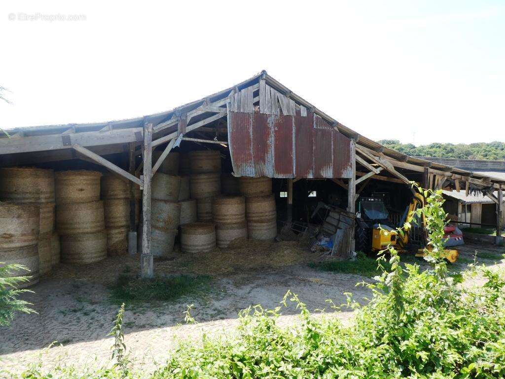 Commerce à LE SAINT