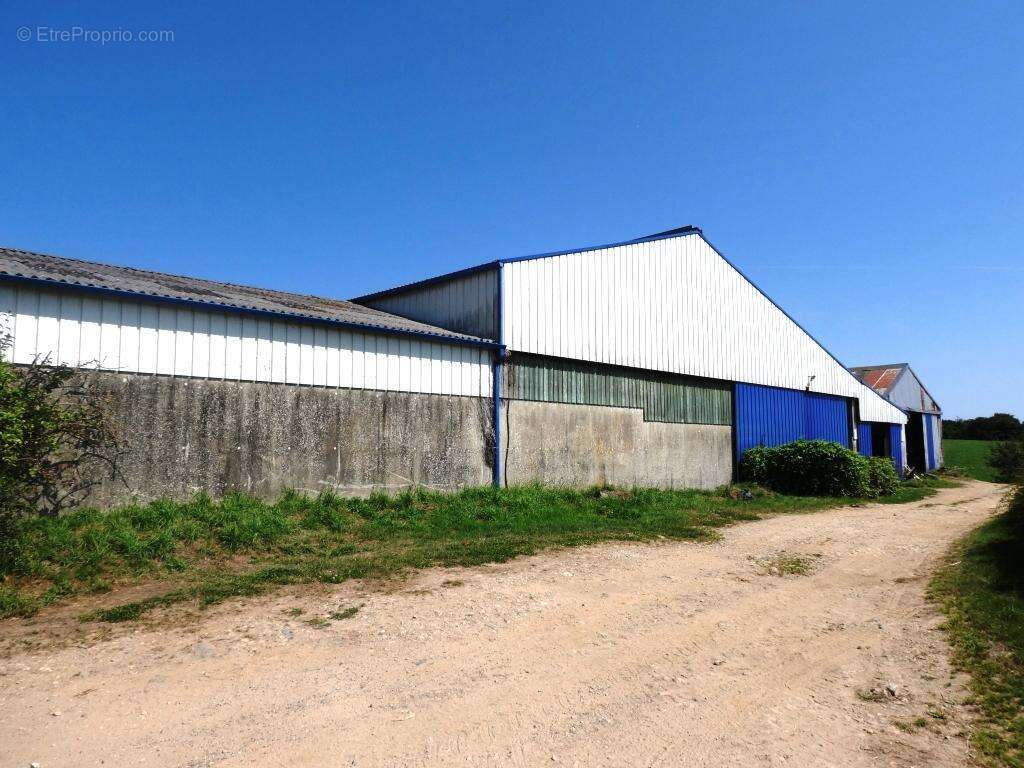 Commerce à LE SAINT