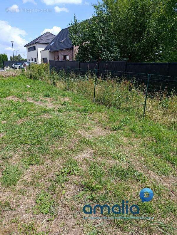 Commerce à HENIN-BEAUMONT