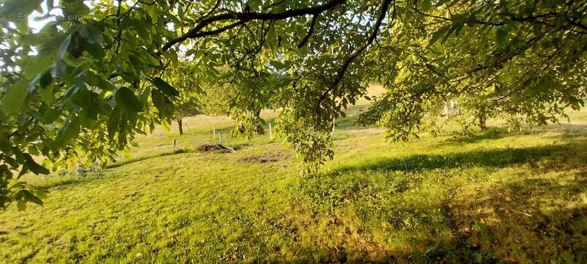 Maison à LE VAL-D&#039;AJOL