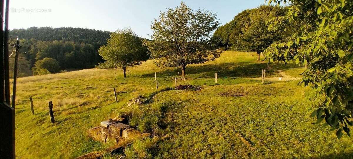 Maison à LE VAL-D&#039;AJOL