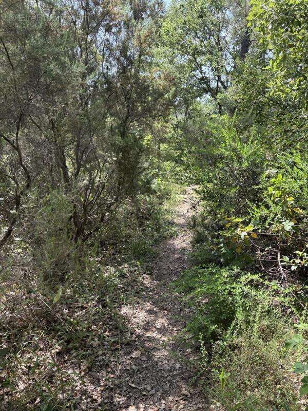 Terrain à TOURRETTES