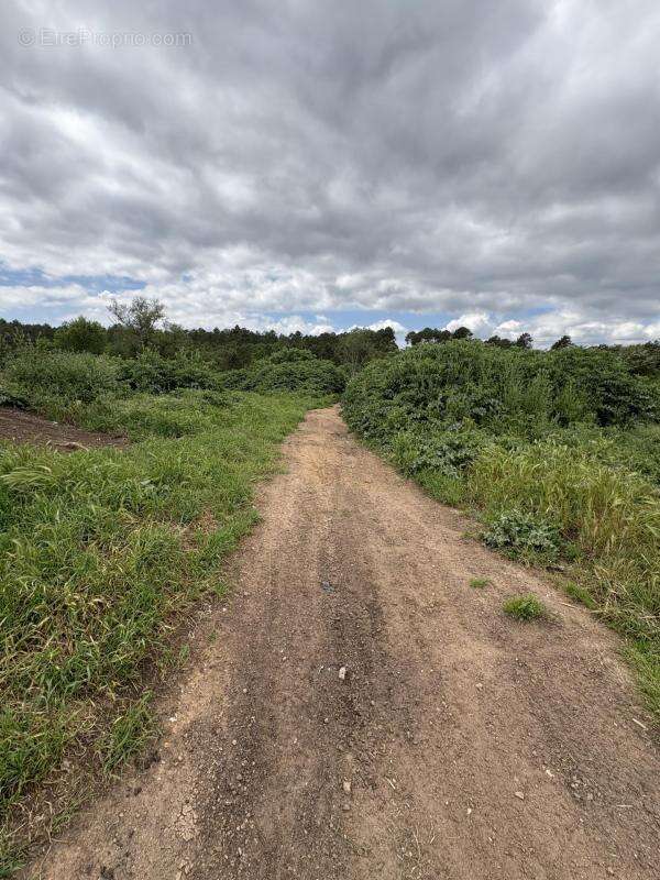 Terrain à TOURRETTES