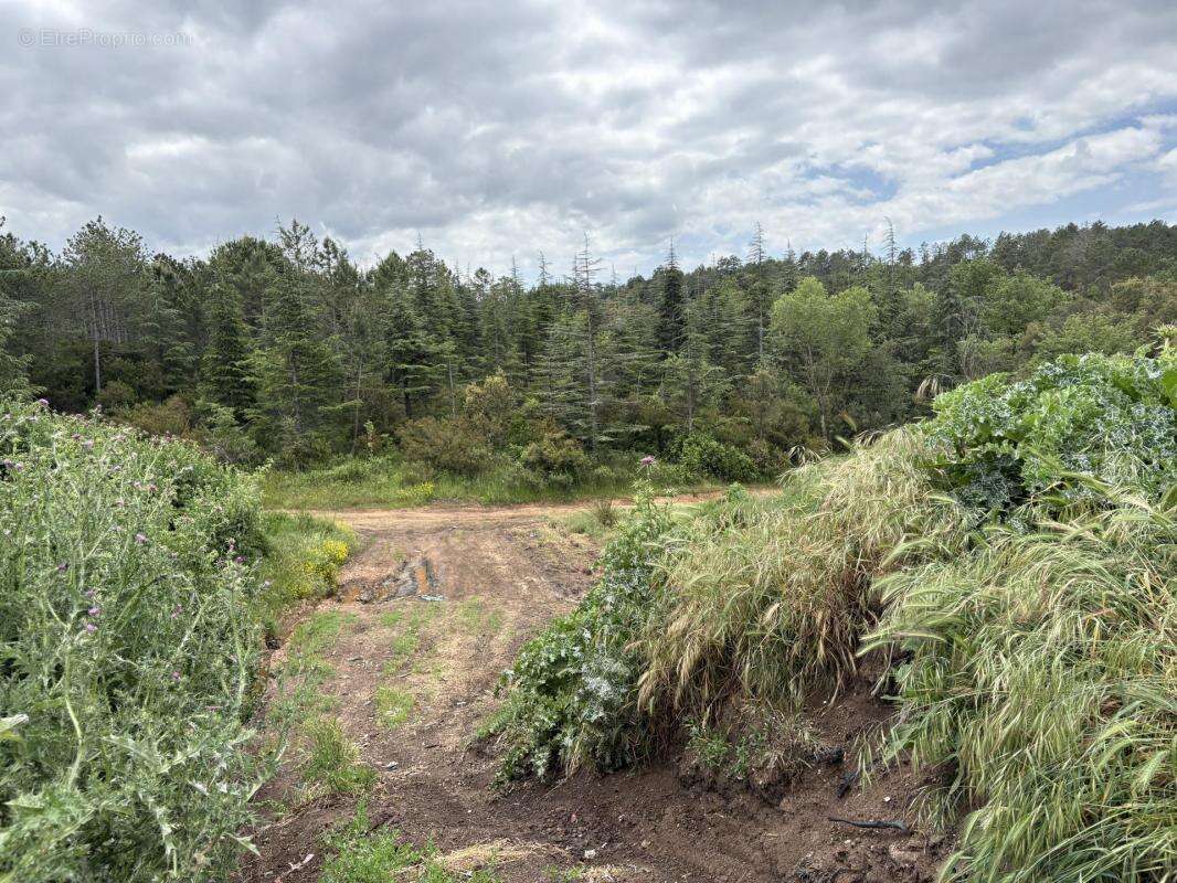 Terrain à TOURRETTES