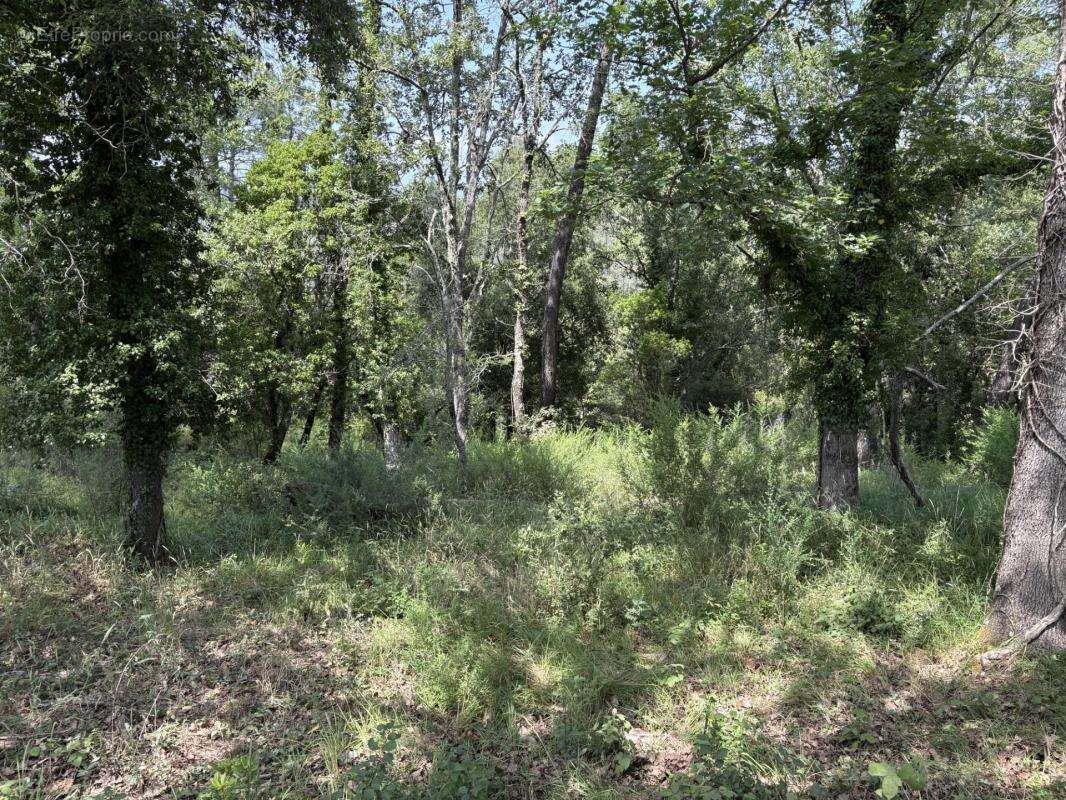 Terrain à TOURRETTES