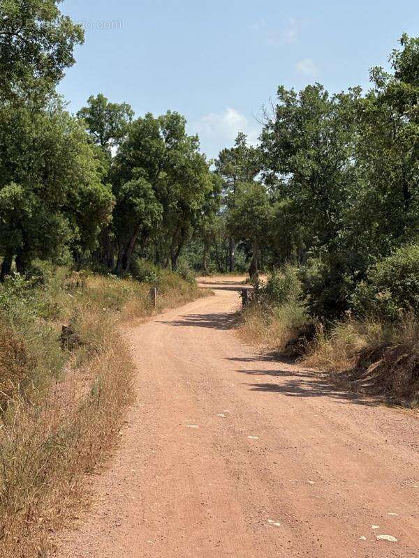 Terrain à TOURRETTES