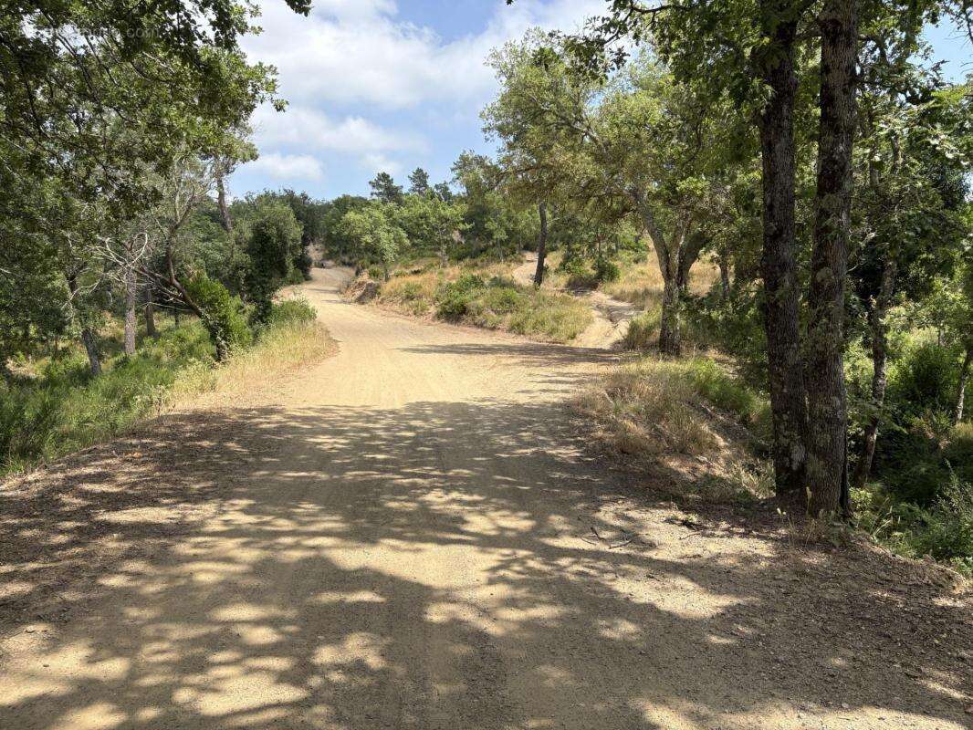 Terrain à TOURRETTES