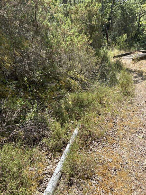 Terrain à TOURRETTES