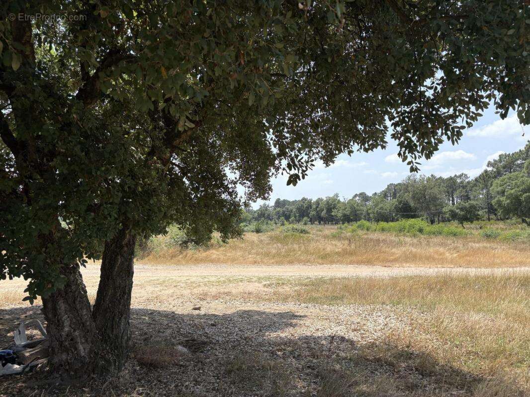 Terrain à TOURRETTES