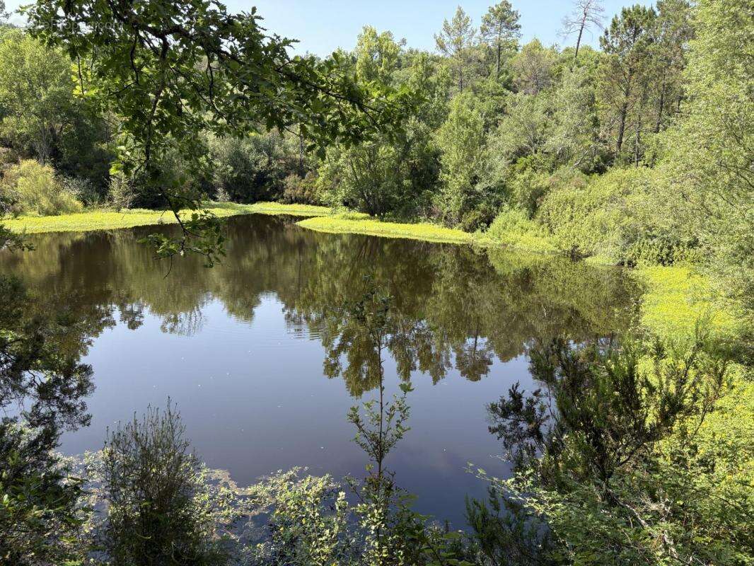 Terrain à TOURRETTES