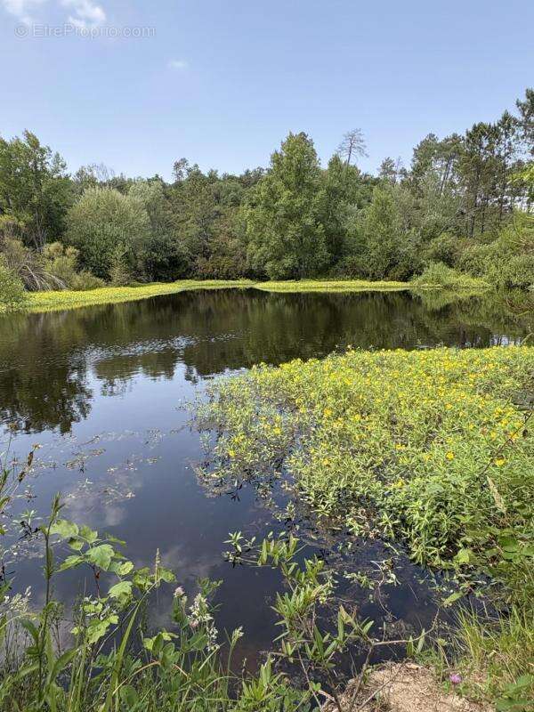 Terrain à TOURRETTES