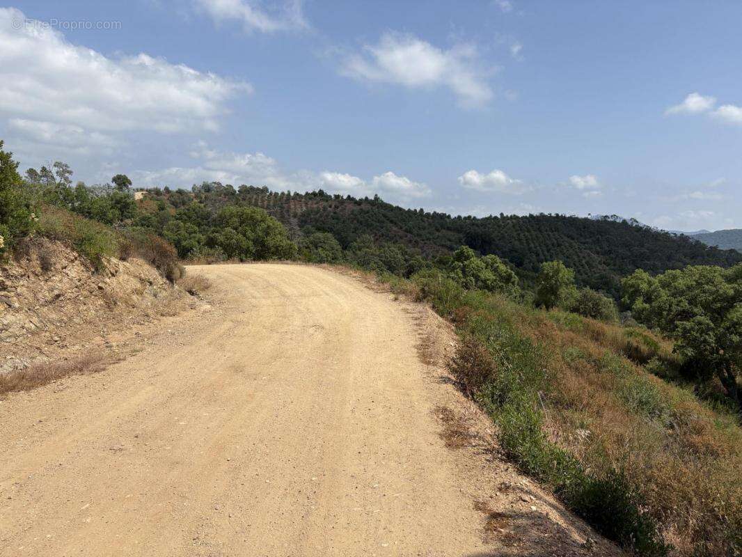 Terrain à TOURRETTES