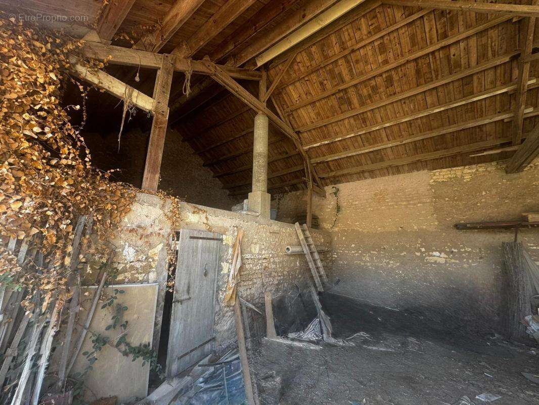 Terrain à DOLUS-D&#039;OLERON