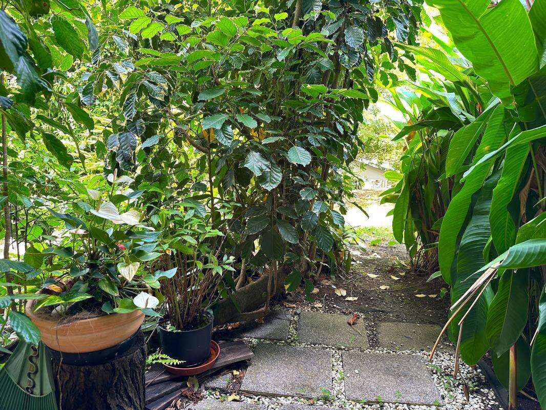 Appartement à FORT-DE-FRANCE