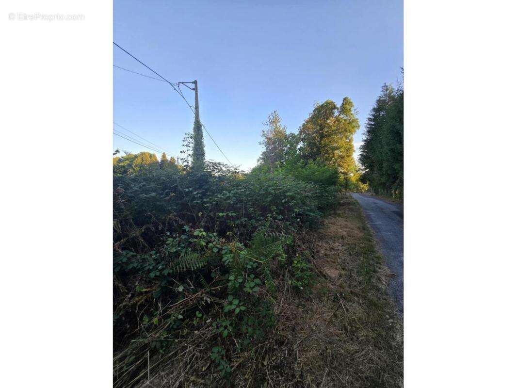 Terrain à SAINT-JUST-LE-MARTEL