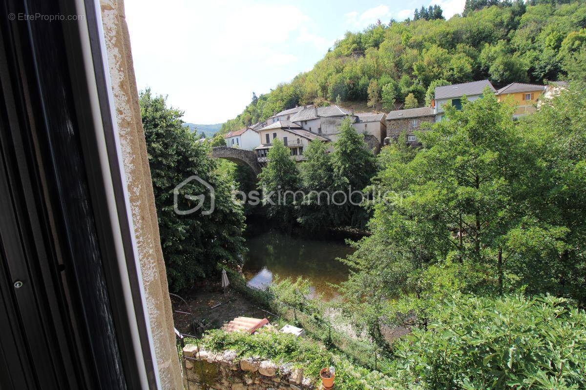 Maison à SAINT-JEAN-DU-BRUEL