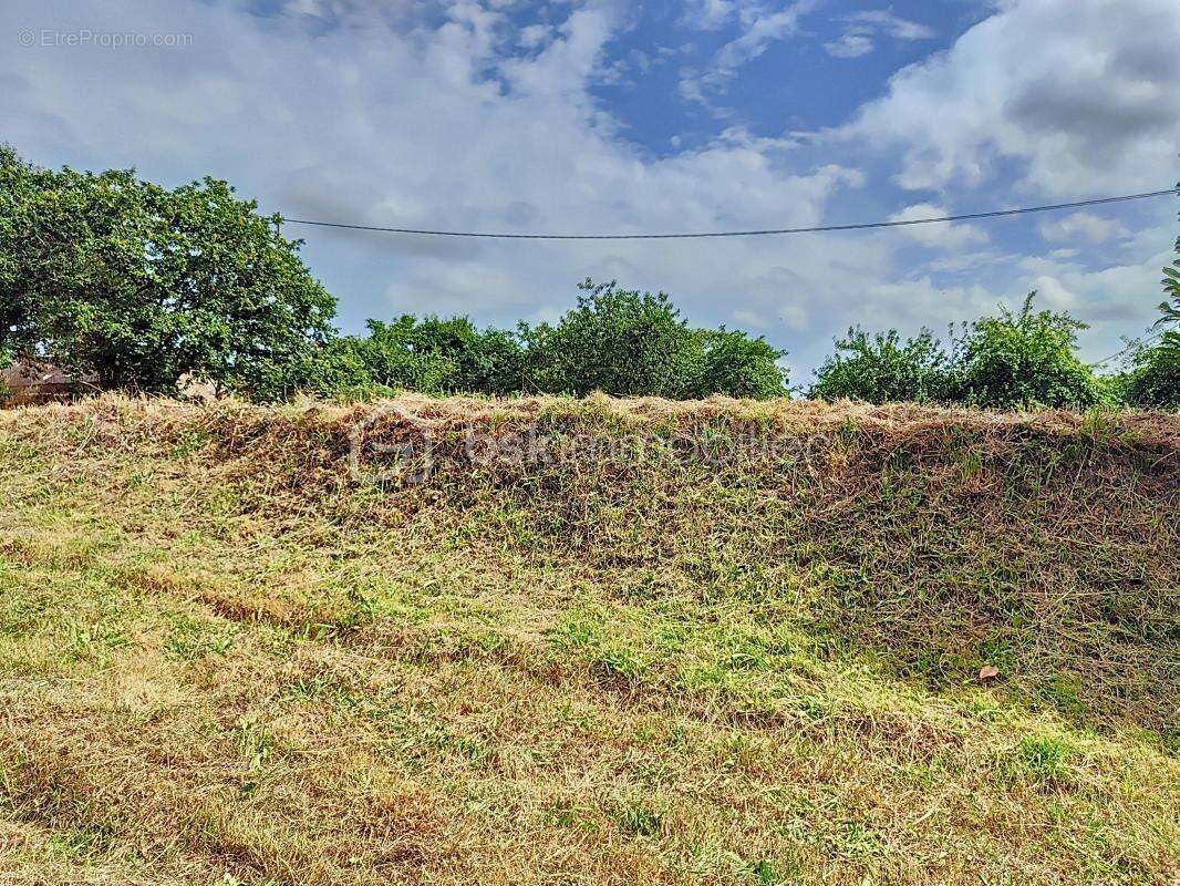 Maison à SAINT-ETIENNE-EN-COGLES