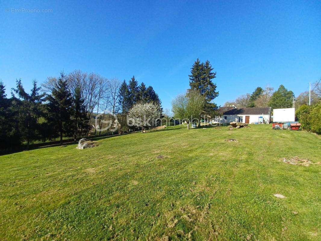 Terrain à VILLENEUVE-SUR-BELLOT