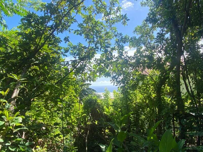 Terrain à SAINT-LOUIS