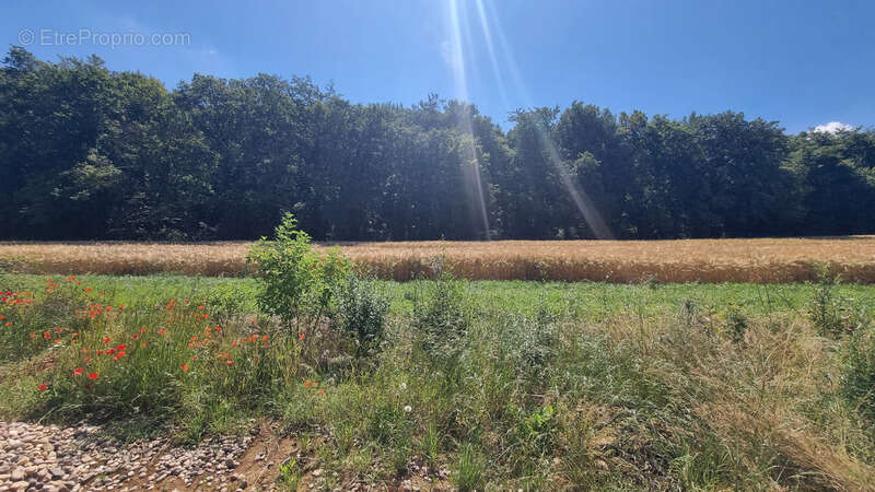 Terrain à AMNEVILLE