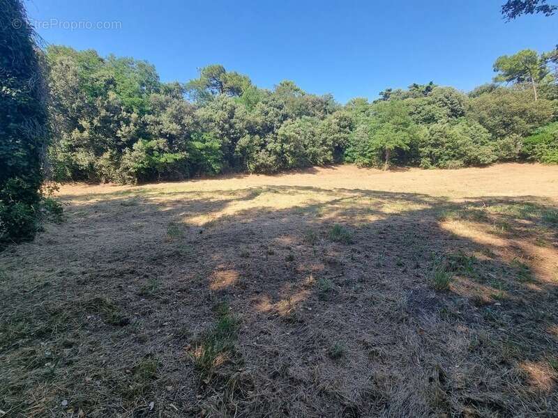 Terrain à SAINT-GEORGES-D&#039;OLERON