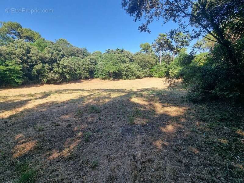 Terrain à SAINT-GEORGES-D&#039;OLERON