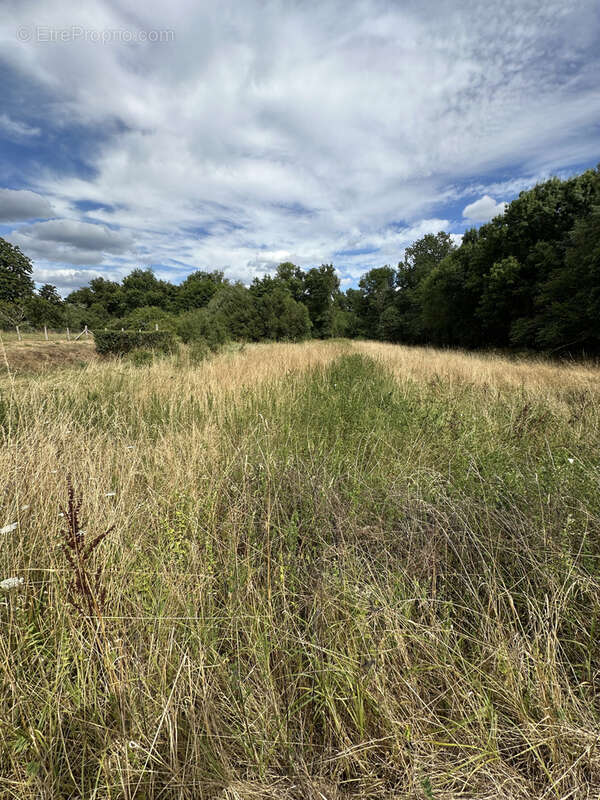 Maison à LA ROCHE-CHALAIS