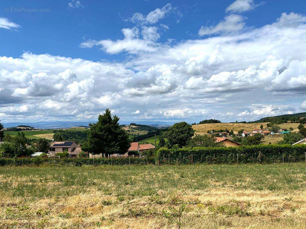 Terrain à VIOLAY