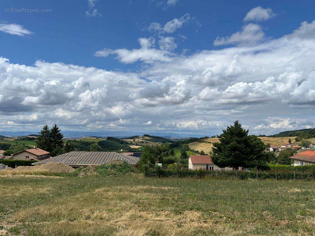 Terrain à VIOLAY
