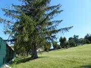 Terrain à LE PUY-EN-VELAY