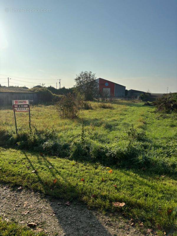 Terrain à TORCY-LE-GRAND