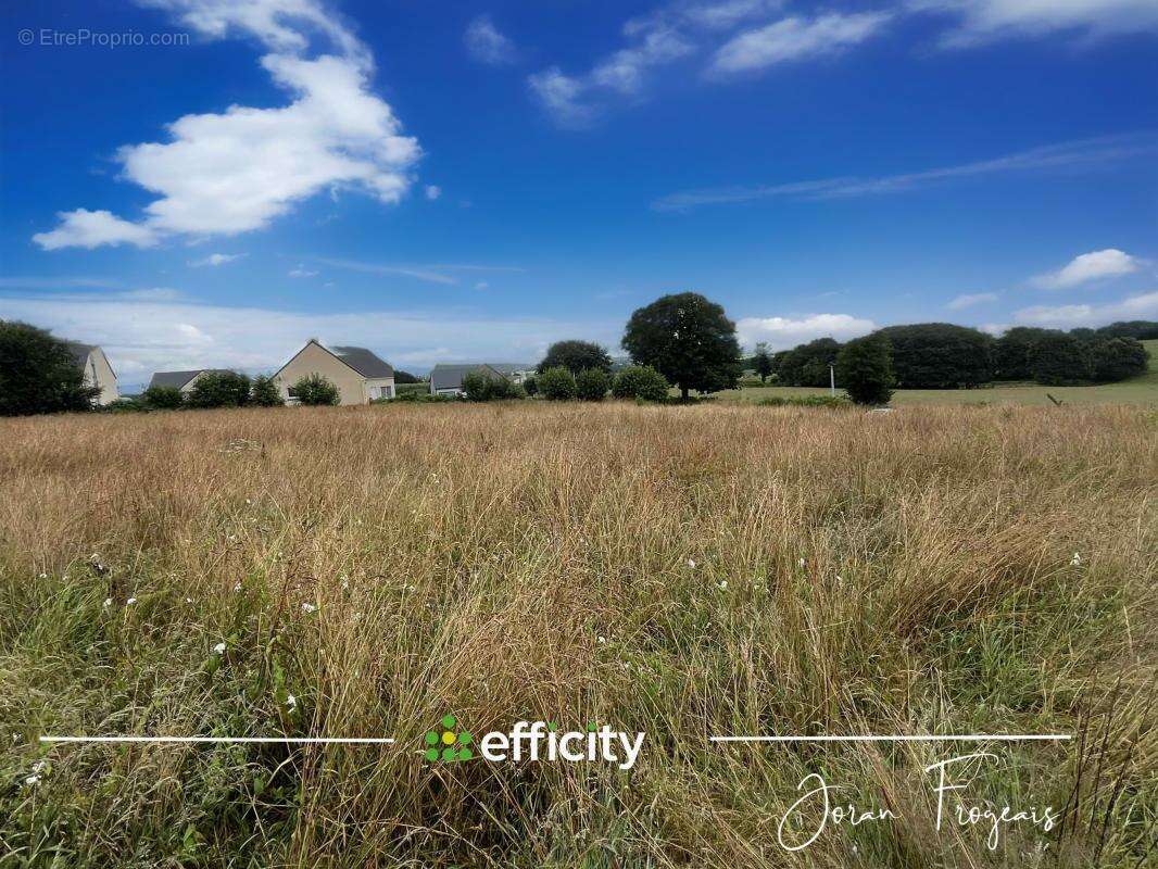 Terrain à LES LOGES-MARCHIS