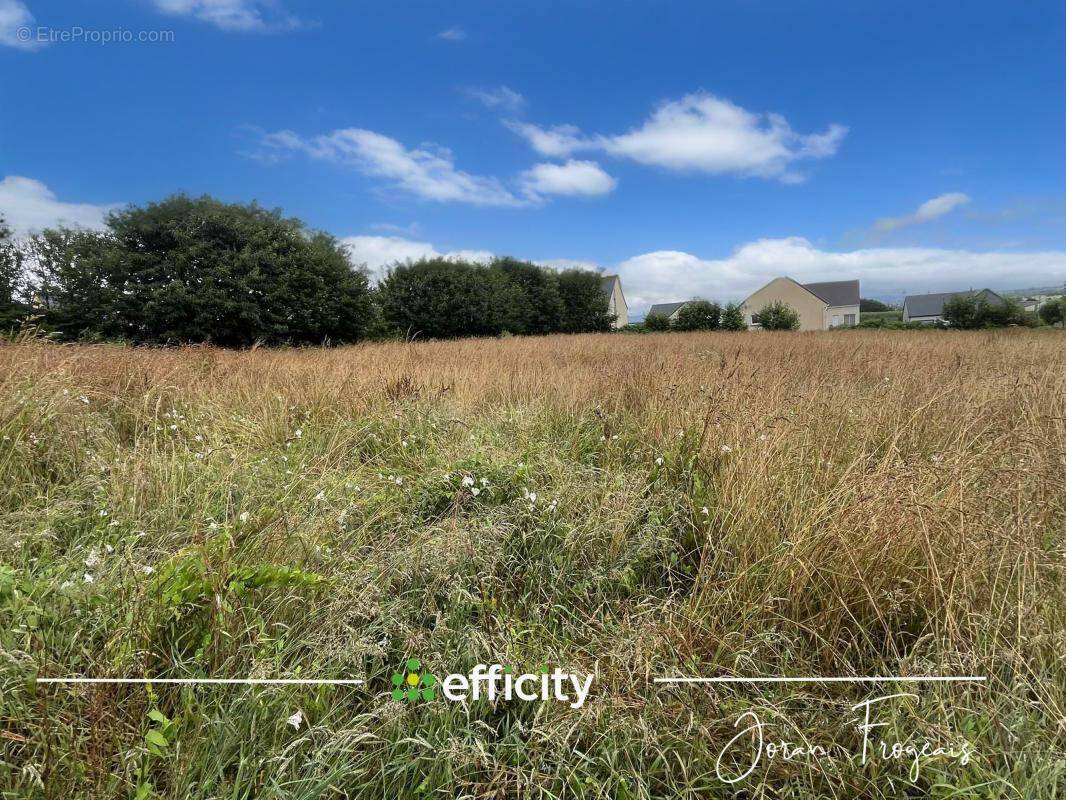 Terrain à LES LOGES-MARCHIS