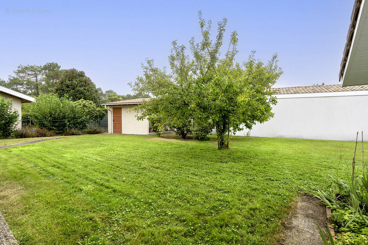 Maison à GUJAN-MESTRAS