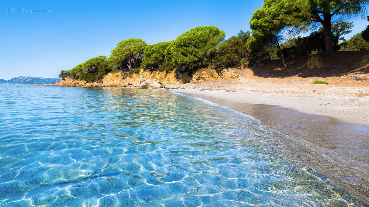 Maison à PORTO-VECCHIO