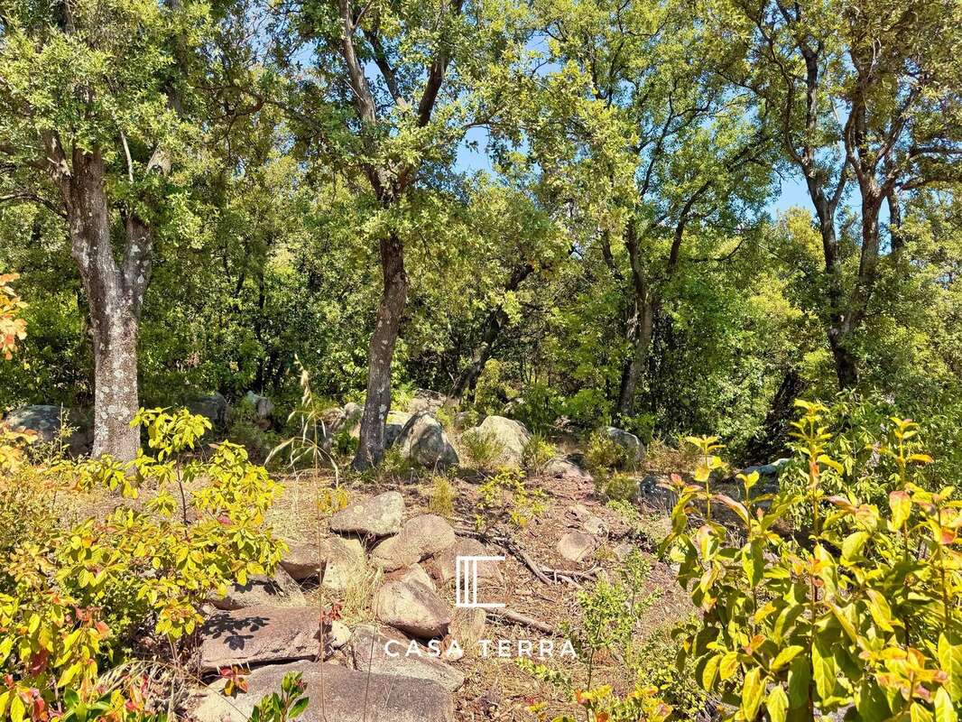 Terrain à PORTO-VECCHIO