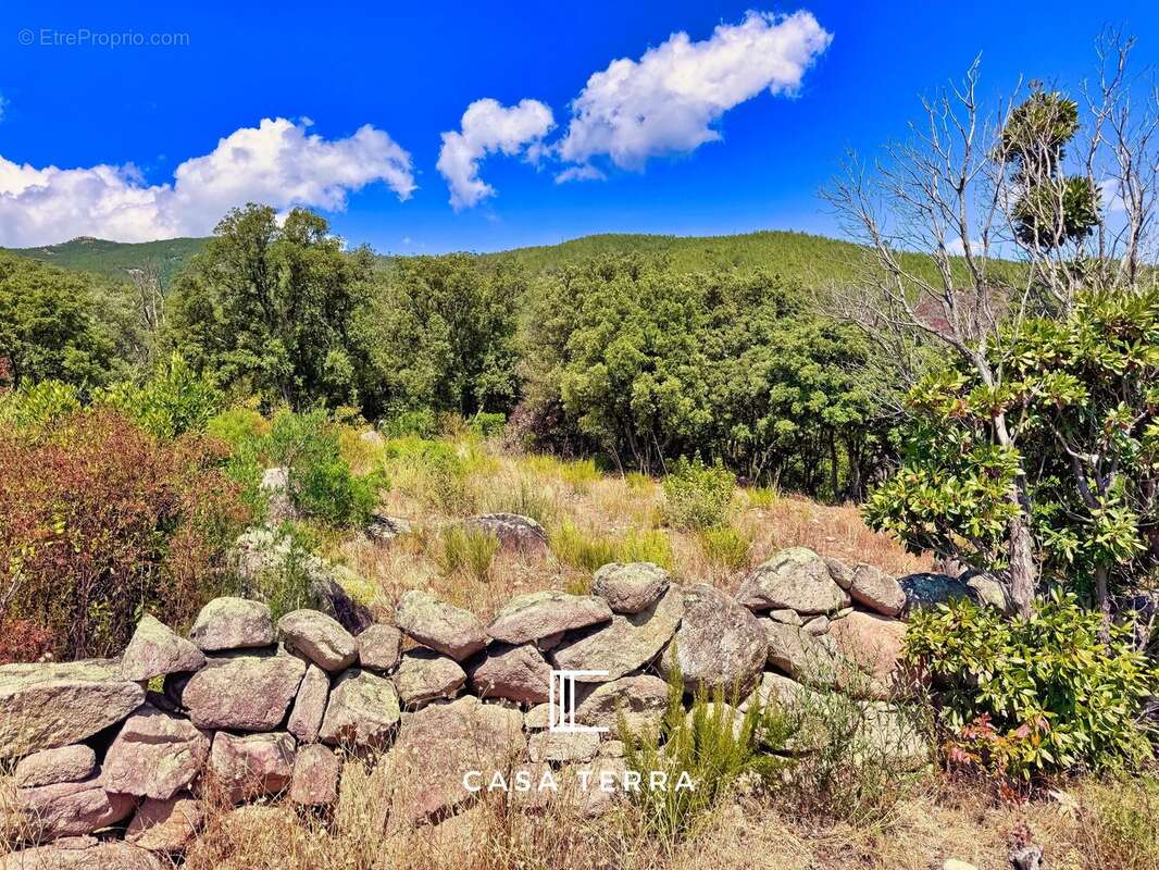 Terrain à PORTO-VECCHIO