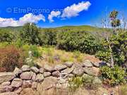 Terrain à PORTO-VECCHIO
