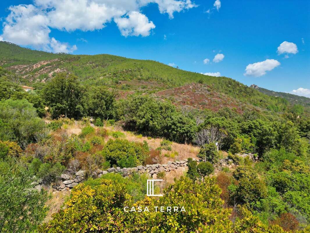 Terrain à PORTO-VECCHIO