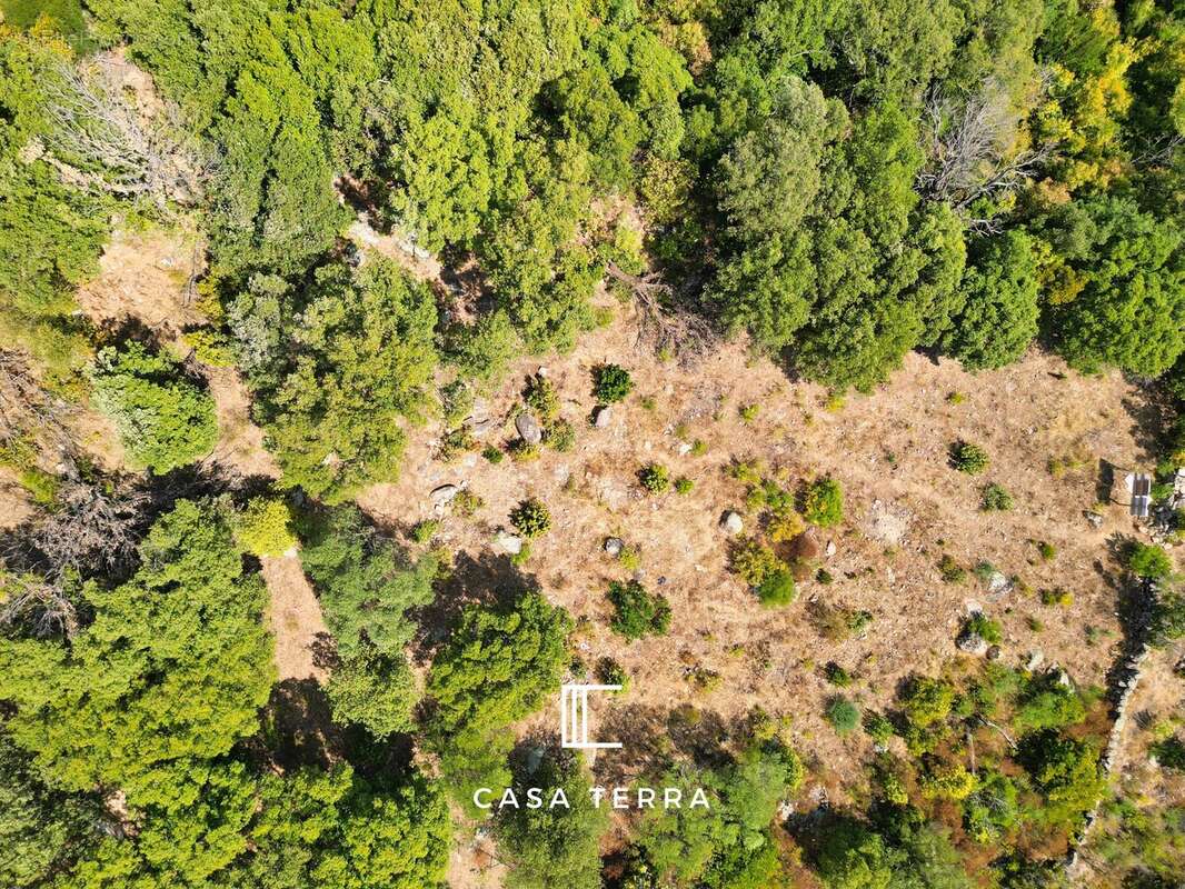 Terrain à PORTO-VECCHIO