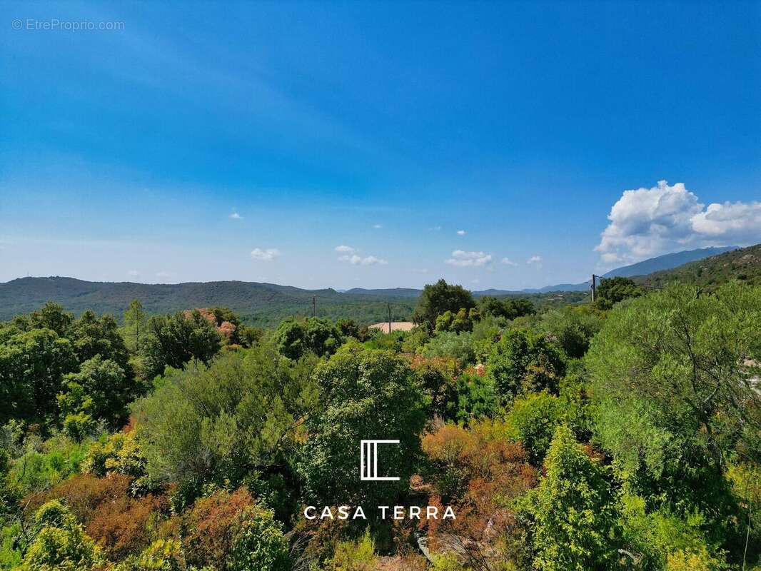 Terrain à PORTO-VECCHIO