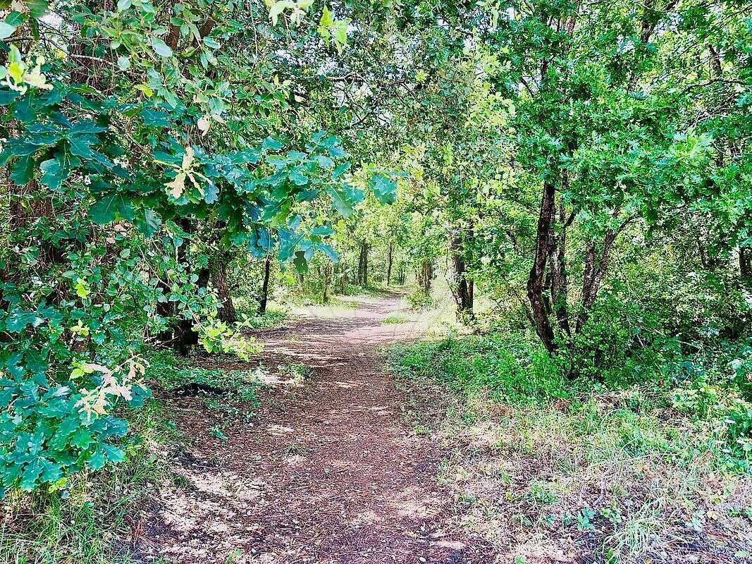 Maison à LES MATHES