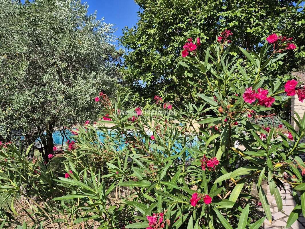 Maison à PERNES-LES-FONTAINES