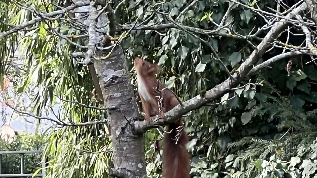 Maison à CROISSY-SUR-SEINE