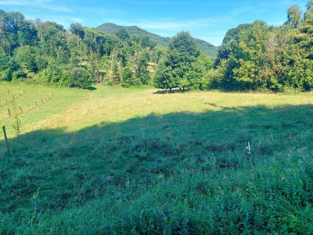 20250804101348 - Terrain à ASPET