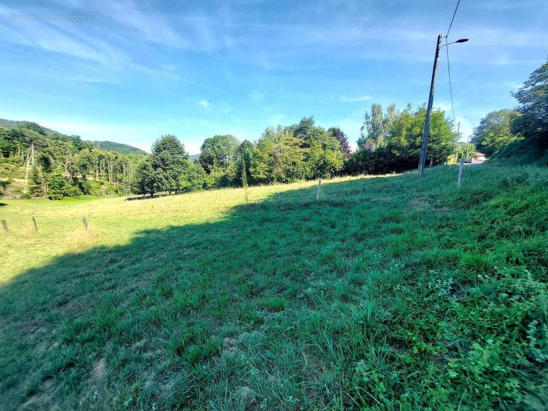 20250804101426 - Terrain à ASPET