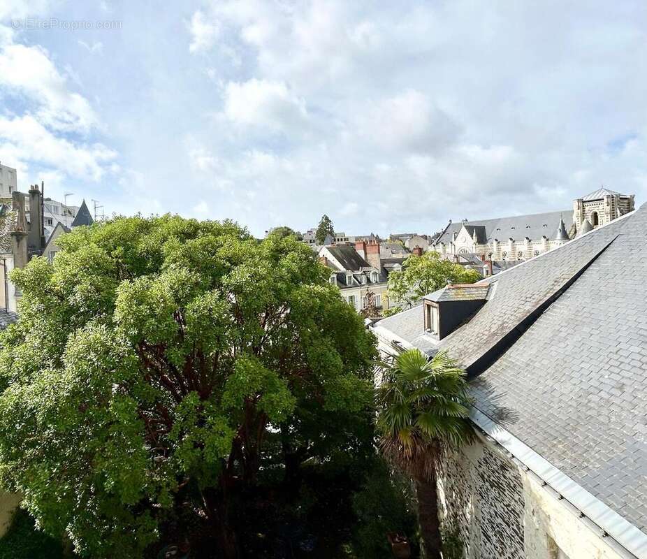   - Appartement à ANGERS