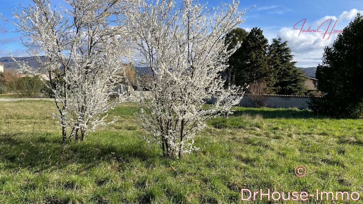 Terrain à ALBA-LA-ROMAINE