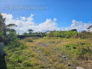 Photo 1 - Terrain à SAINT-ANDRE