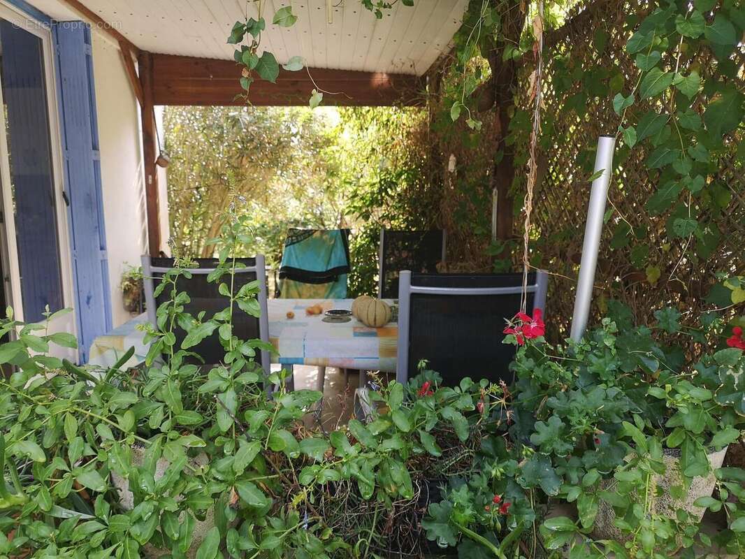 IMG20250820111256 - Maison à GONDRIN